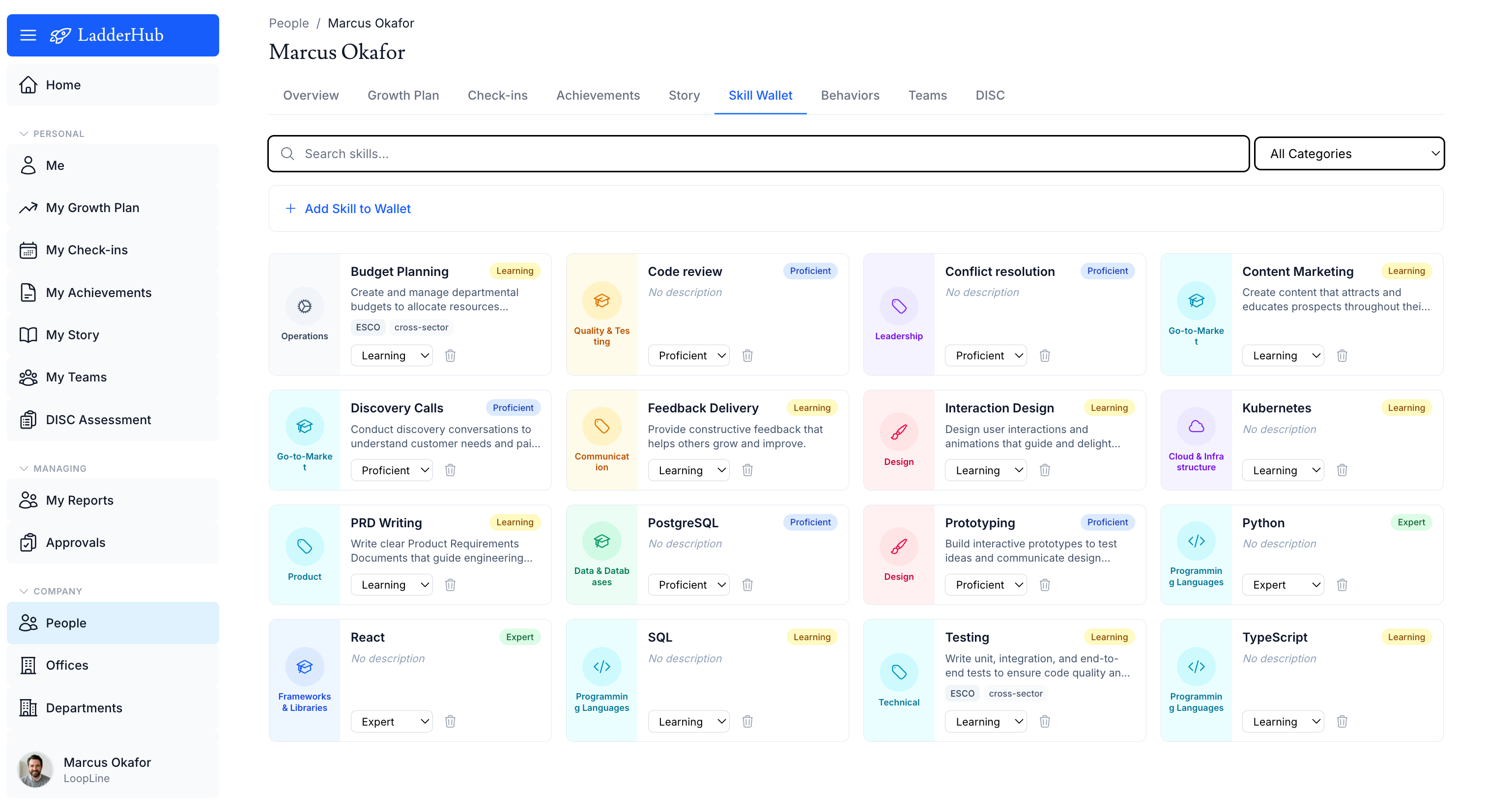 An employee's skill wallet with company-validated levels